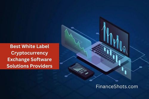 Best White Label Cryptocurrency Exchange Software Solutions Providers