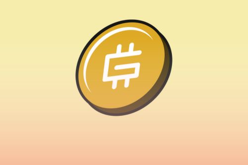 Is STEPN (GMT) Coin a Good Investment